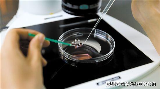 青岛供卵试管-青岛供卵试管:让生育梦想成真