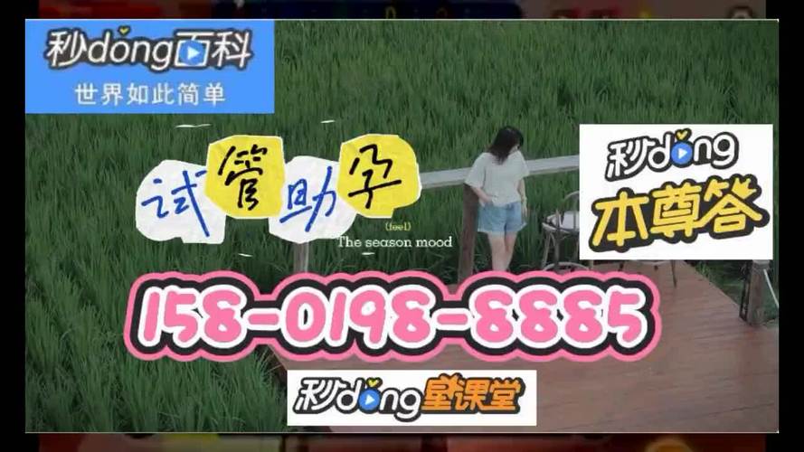 浙江供卵试管代生孩子_浙江供卵试管代生孩子:一窥生育辅助技术的奇妙之处