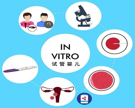 国外做试管代怀费用【国外试管代怀费用解析】