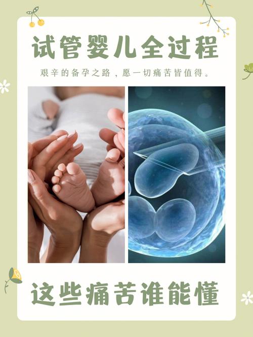 广州代生试管(广州代生试管中心:助您圆梦生育)