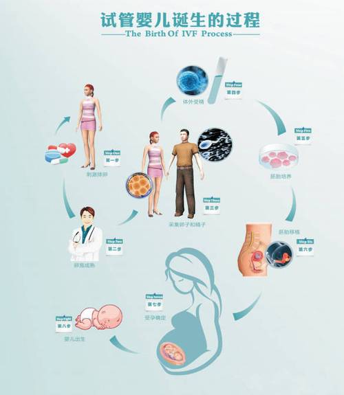 去美国做试管代怀(美国试管代怀:一站式服务详解)