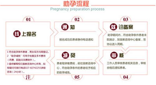 国内可以供卵试管吗(国内可供卵试管婴儿的相关政策及流程介绍)