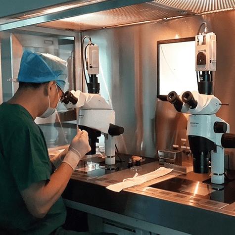 深圳试管代生【深圳试管代生：科技助力生育梦】