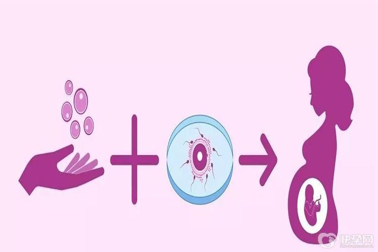 哪儿能做供卵试管婴儿【哪儿可以进行供卵试管婴儿的相关信息】