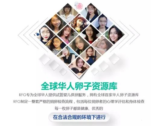 供卵做试管大概需要花多少钱_试管婴儿：供卵大概需要花多少钱？