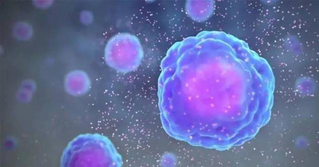 泉州试管代生公司(泉州试管代生公司：助您圆梦生育)