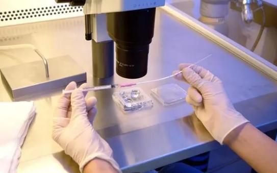 哪家医院可以供卵试管-哪家医院可以供卵试管？