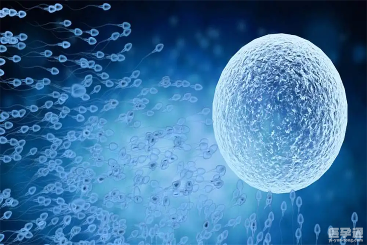 为什么大龄供卵试管成功率高-大龄供卵试管成功率高的原因