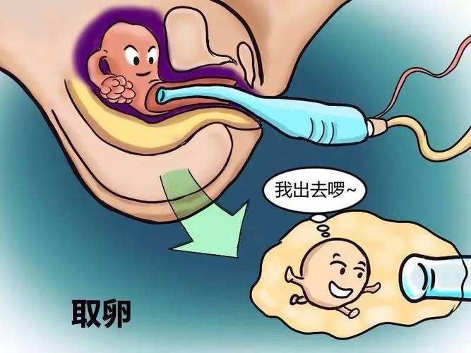 同性供卵试管代怀去哪里找_同性家庭：供卵试管代怀去哪里找
