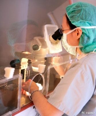 同性恋做俄罗斯试管婴儿试管代怀_同性恋俄罗斯试管婴儿：代怀之路