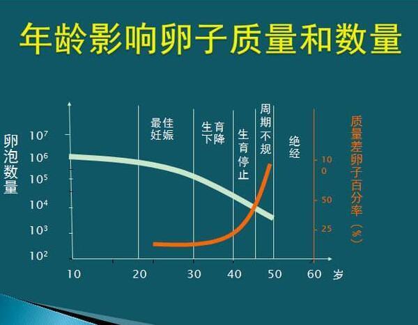 美国试管婴儿IVF成功率是多少(美国试管婴儿IVF成功率调查)