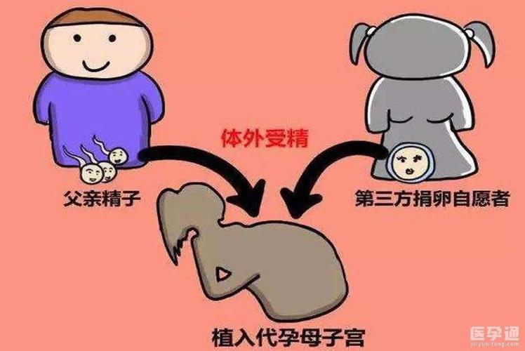 我的供卵试管婴儿经历_我的供卵试管婴儿之路