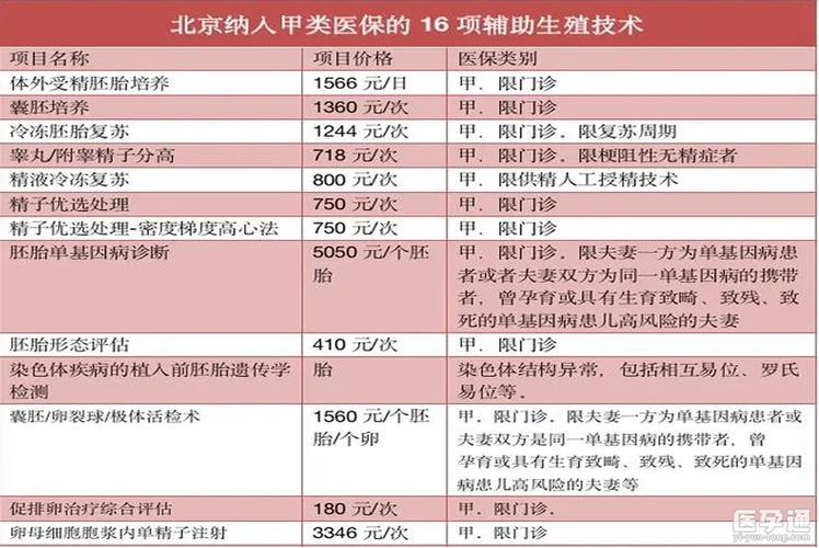 借卵试管费用(借卵试管费用详解- 从流程到成本一网打尽)