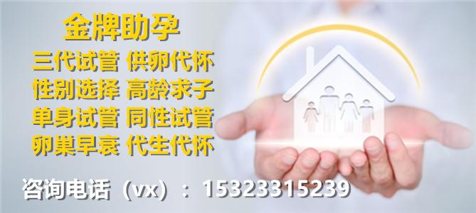 广州试管代生孩子qq群(广州试管代生孩子交流群)