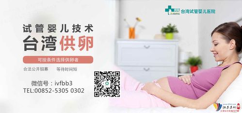台湾供卵试管交流群(台湾供卵试管交流群分享与交流)