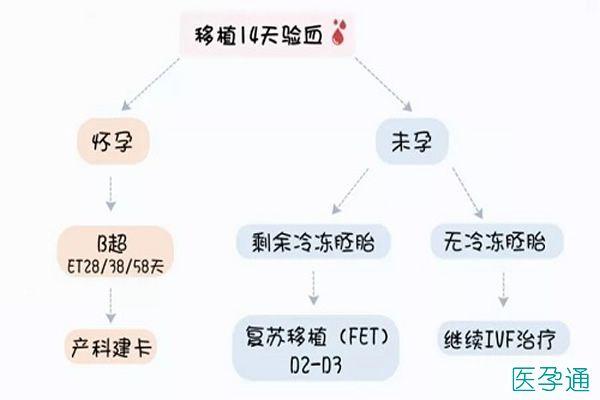 试管选性别费用-试管选性别费用大揭秘- 一次全面了解试管选性别的费用情况