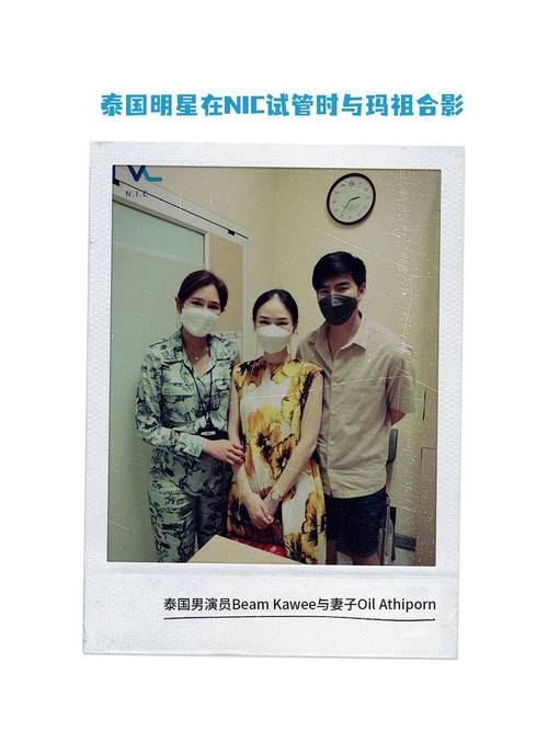 荷兰同性恋人找人试管代怀-荷兰同性恋人寻找试管代怀服务