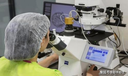 境外的试管代怀机构-境外试管代怀机构：全球代怀孕服务的领导者