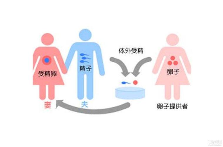卵巢早衰供卵群【卵巢早衰供卵群：重燃生育希望的支持与分享】