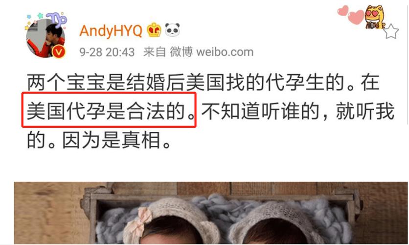 美国做试管代怀双胞胎费用(美国试管代怀双胞胎费用大揭秘)