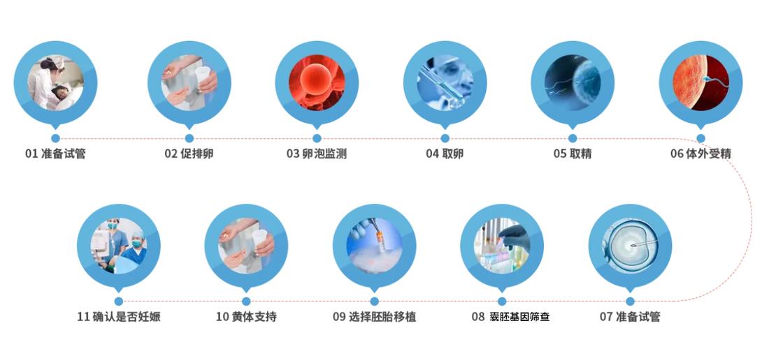 赴美国做试管代怀(赴美国试管代怀：一窥美国试管代怀之路)