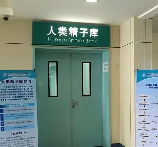 青岛包生男孩的试管医院(青岛包生男孩试管医院:专业助您圆梦生儿愿)