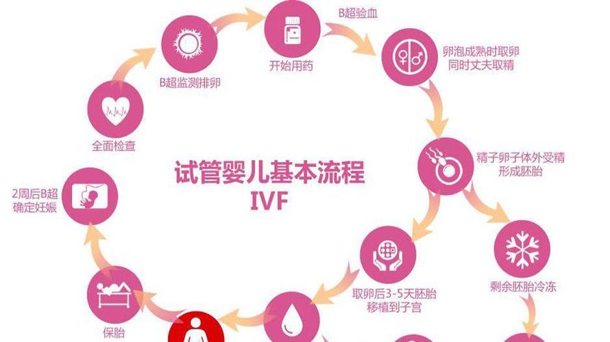 做供卵试管婴儿的全部流程【供卵试管婴儿全流程解析】