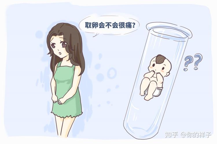 供卵试管婴儿【探讨供卵试管婴儿的医学与伦理挑战】