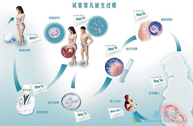泰国借卵试管婴儿供卵是哪的【泰国试管婴儿:供卵是哪的中心】