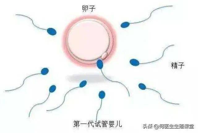 请问可以试管代怀吗(试管代怀孕,您了解吗?)